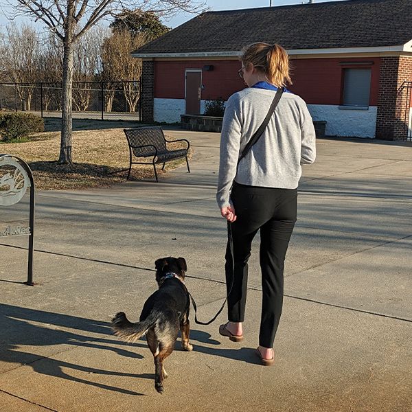 A woman walks her small dog in the park.