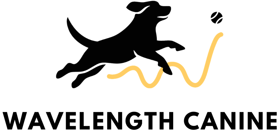 black silhouette of a running dog chasing a ball, with a golden yellow wave underneath them